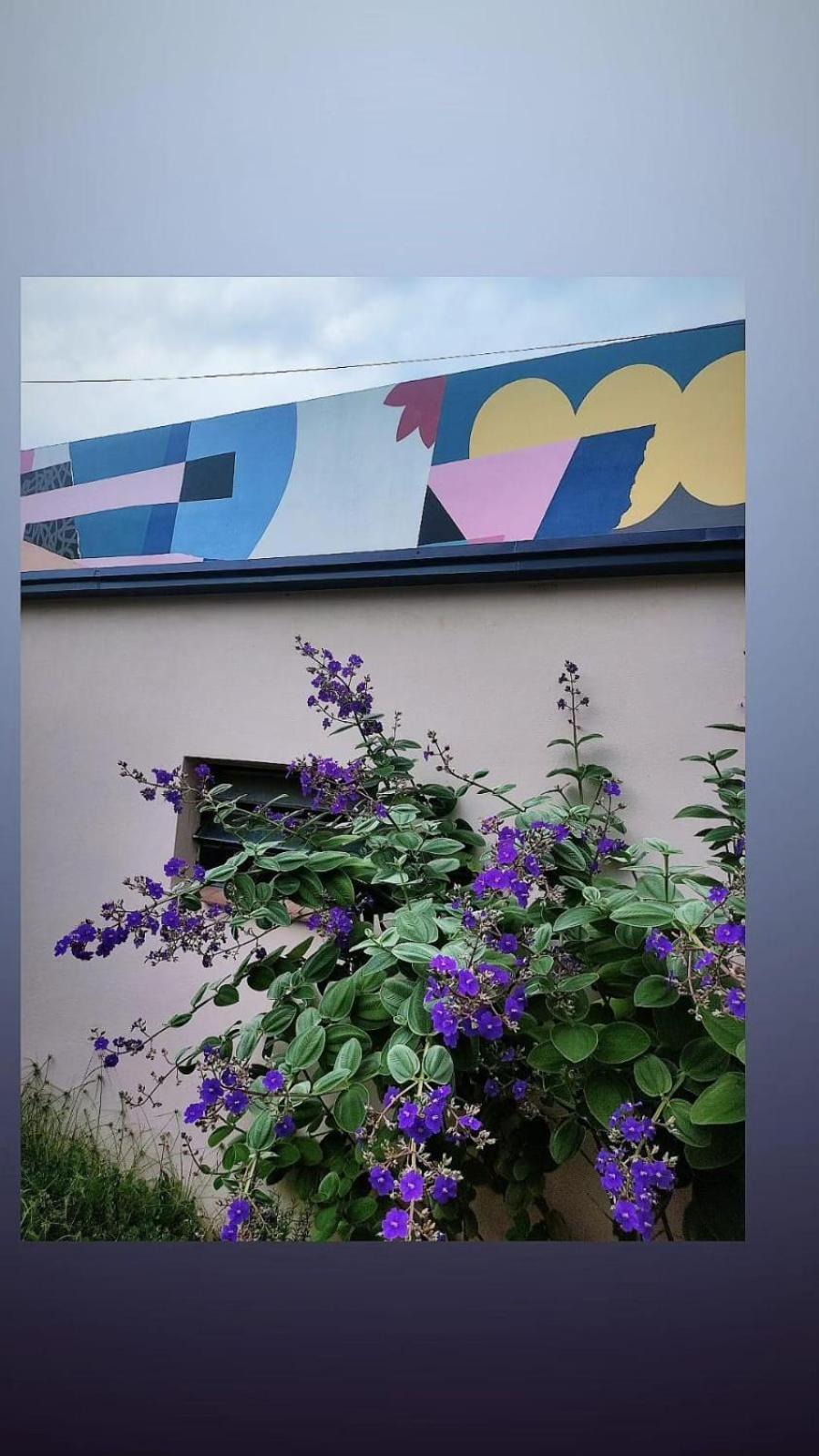 Homestay Casa Grande, Centrica Y Con Garaje *