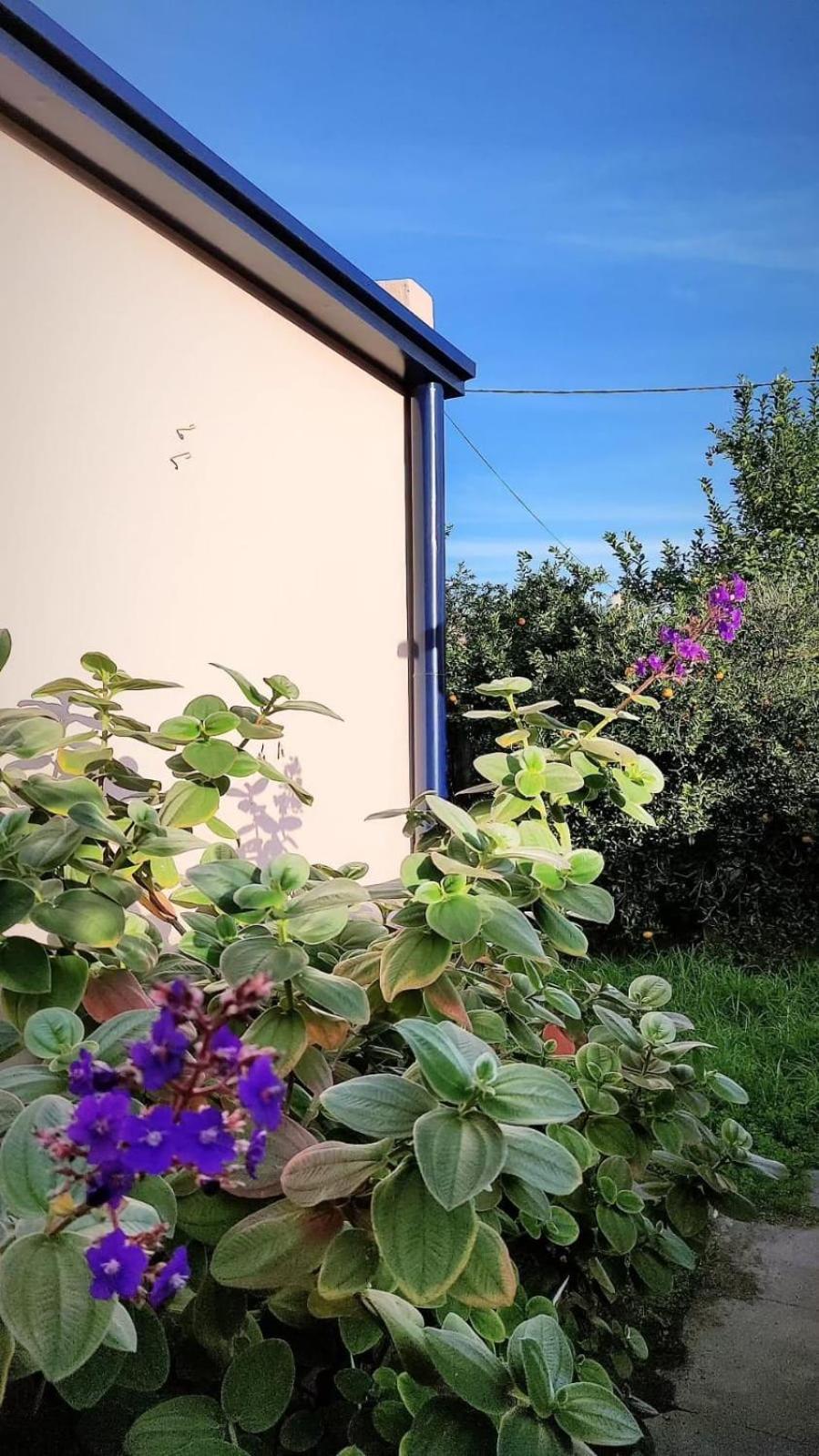 Homestay Casa Grande, Centrica Y Con Garaje Santa Fe